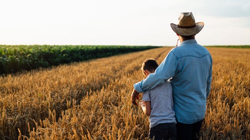 Father and son standing looking out at a field