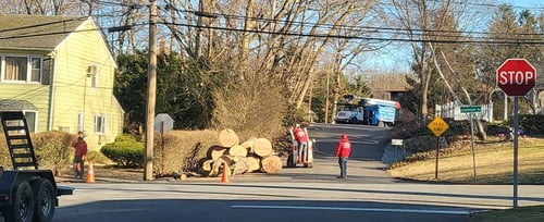 Anytown Tree Service Inc.-  Stump damage