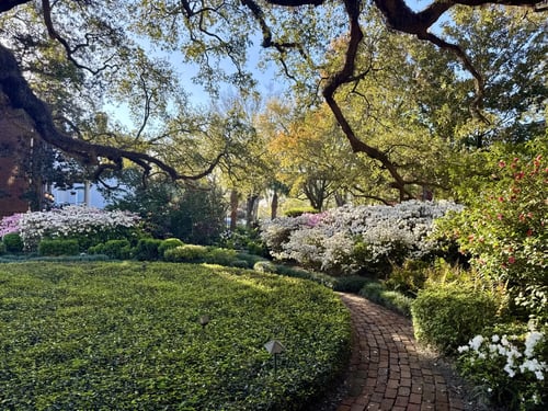 Forsyth Park Dental Office