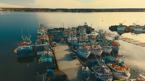 Fishing boats tied up at a wharf, with the harbour in the background.