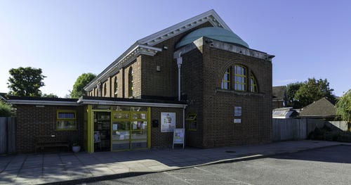 Busy Bees at Carshalton Beeches - Gallery Photo