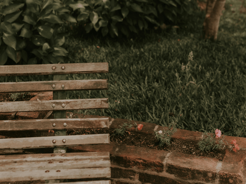 A weathered wooden bench sits beside a brick planter, adorned with blooming flowers, against a lush green backdrop.