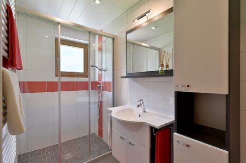 Appartement Elisabeth in Ramsau im Zillertal
