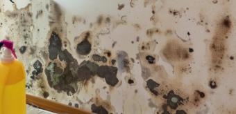 Mold Remediation Restoration 1 Reno-Tahoe