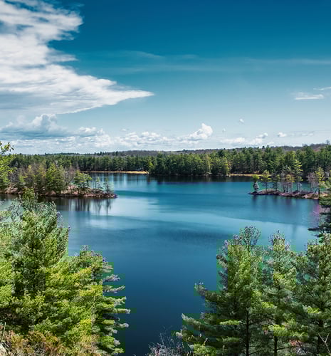 A serene lake surrounded by lush green pine trees under a clear blue sky with scattered clouds, conveying tranquility and natural beauty.