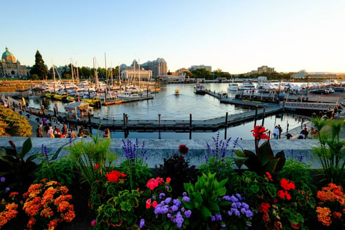 Victoria's Inner Harbour showcases the Parliament, sailboats, and vibrant waterfront gardens.