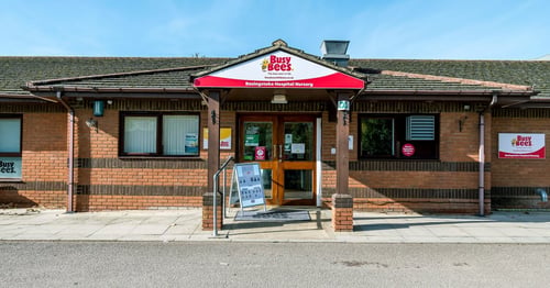 Busy Bees at Basingstoke Hospital - Gallery Photo