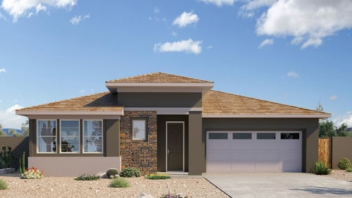 single-story home with desert landscaping