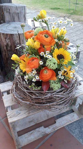 Intreccio di primavera