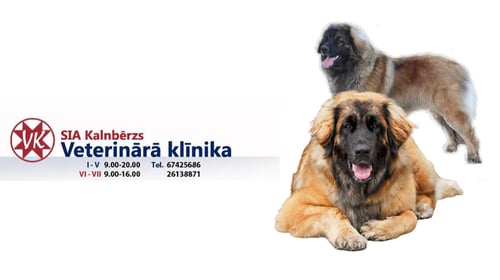 Kalnbērzs, Veterinārā klīnika