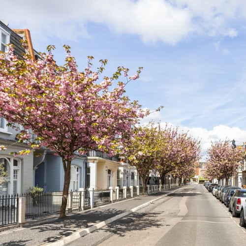 Knight Frank Fulham estate agents - Terraced Victorian houses on a quiet, tree-lined residential street in Fulham, West London.