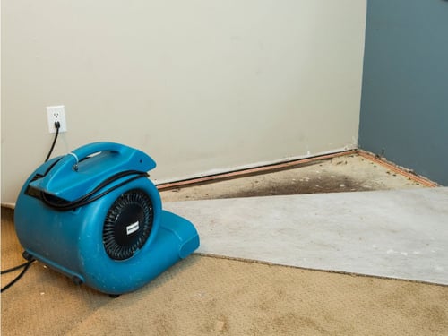 Air mover drying carpet and wall after water damage in NW Cobb home