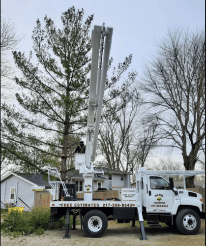 All Pro Tree Service - Bucket Truck