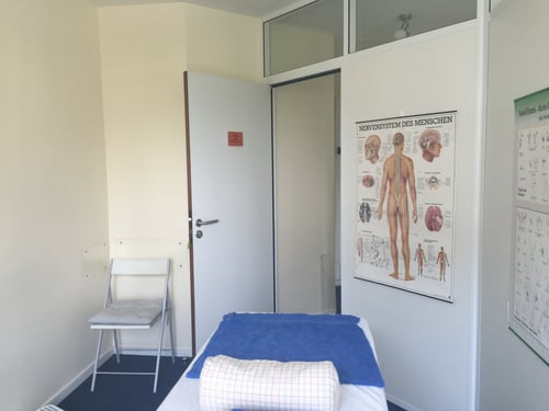 physiotherapy geneva