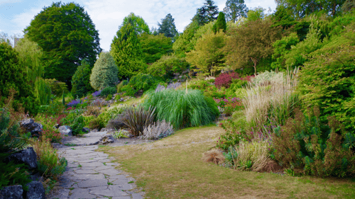 A lush garden with diverse plants and vibrant flowers lining a stone path. Tall trees and shrubs surround the area under a clear blue sky, conveying tranquility. Aurora, Ontario, Canada.