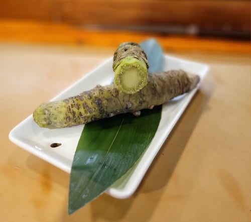 Fresh Wasabi