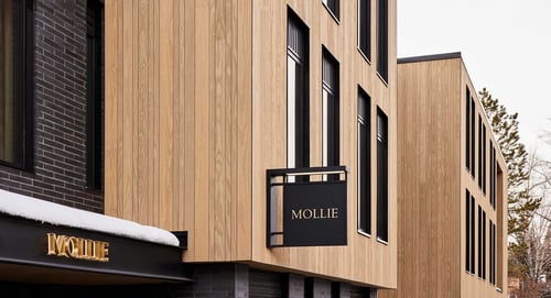 Exterior of a building with wood paneling, a square black sign hanging off the side reading MOLLIE in gold text.