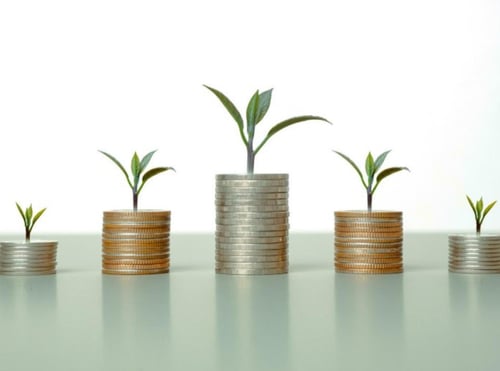Stacks of coins with growing plants representing financial growth and investment.