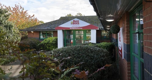 Busy Bees in Quedgeley - Gallery Photo