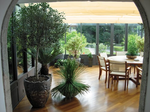 Krebs Paysagistes SA - Plantation d'intérieur