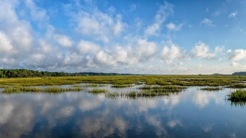 Located in beautiful Pawleys Island minutes from Litchfield Beach