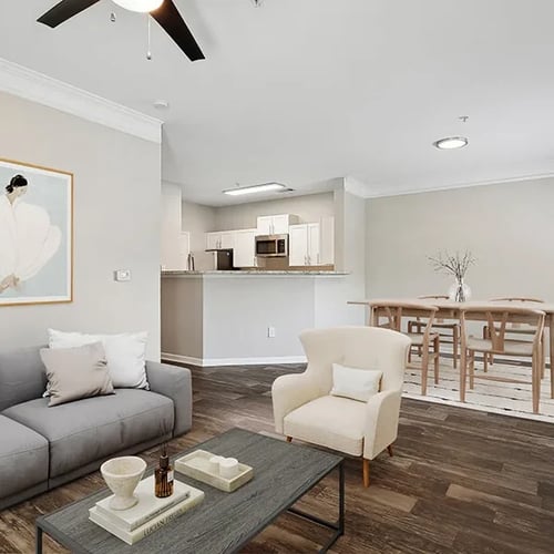 Waterford Place | Living room