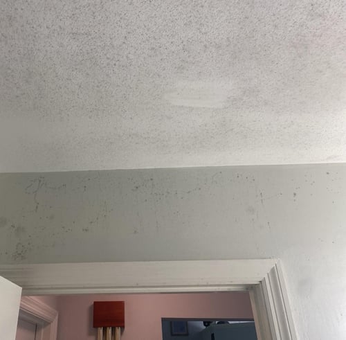 Frequently Asked Questions About Odor Removal