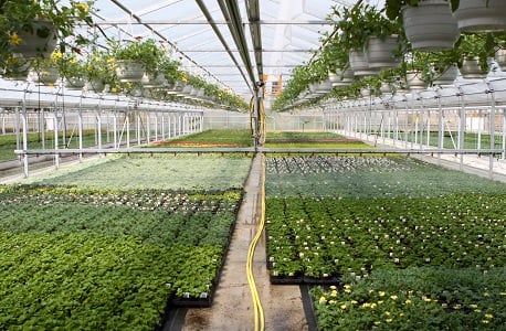 Gartenbau Schacherl GmbH