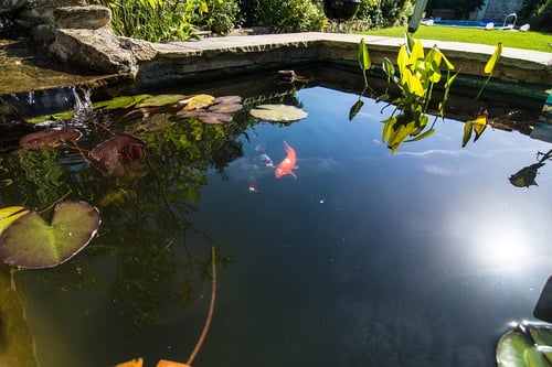 Gartengestaltung Jörg Zimmer