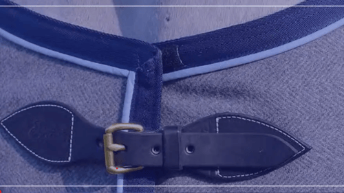 close up on belt on a horse clothing piece