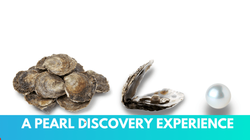 collage of oysters and pearls