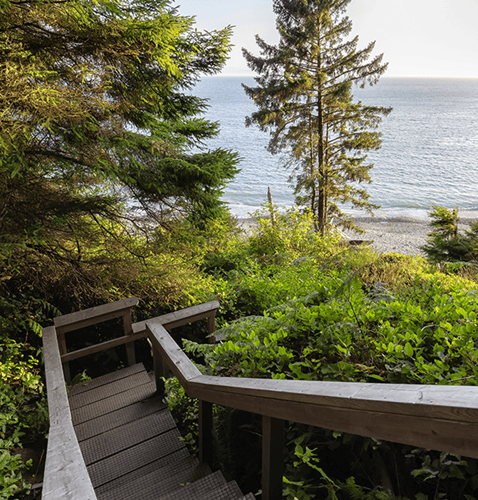 Wooden boardwalk stairs surrounded by lush green foliage, leading down to a calm lake.