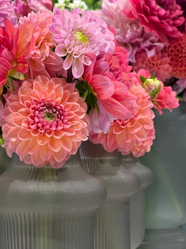 DAHLIA