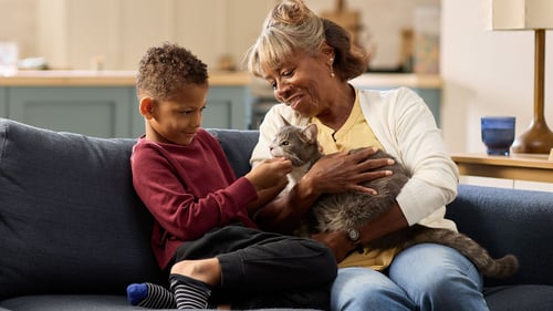 A senior woman holds her cat as a young boy pets the cat, they are all sitting on a couch.