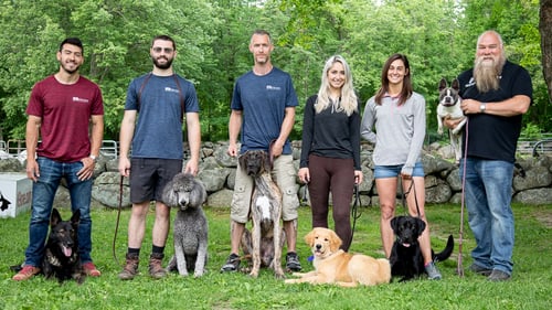 At our country kennel in Litchfield County, dogs enjoy spacious indoor runs with elevated beds and blankets, climate control, 24-hour music, and extra large outdoor runs are available to all dogs daily with views of our rolling fields, goats, chickens, and ducks. When your dog isn’t training, they rest comfortably under the care of attendants who know them by name.