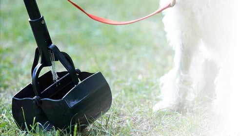 Call The Doo Doo Crew in Omaha, NE 68134 today at (402) 812-8068