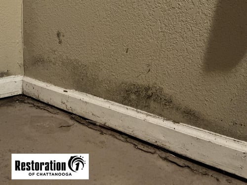 Water damage that turned to mold damage on floorboard