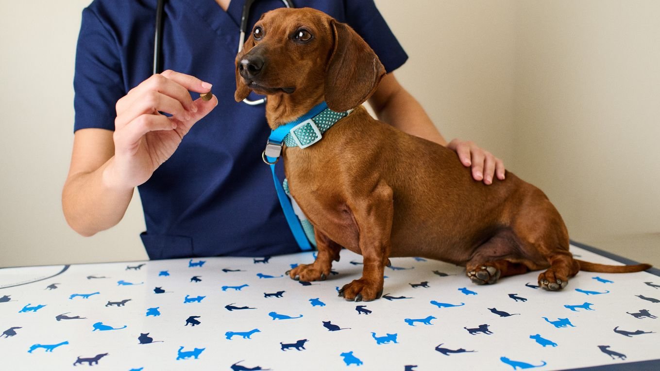 Vetco Total Care Animal Hospital