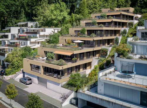 Hamero Immobilien AG