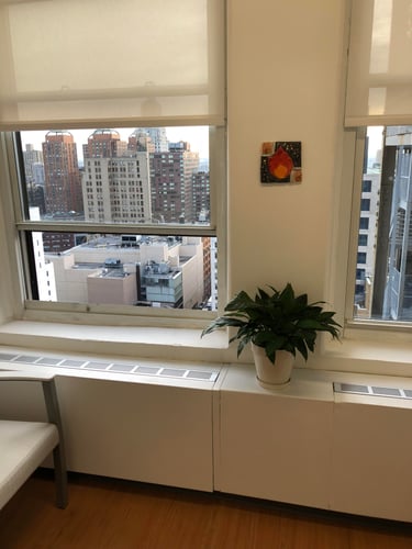 View from out office