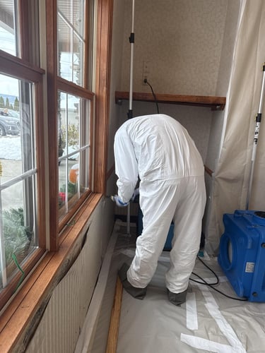 a Restoration 1 of Mt. Pocono technician in protective equipment remediates mold from a commercial business