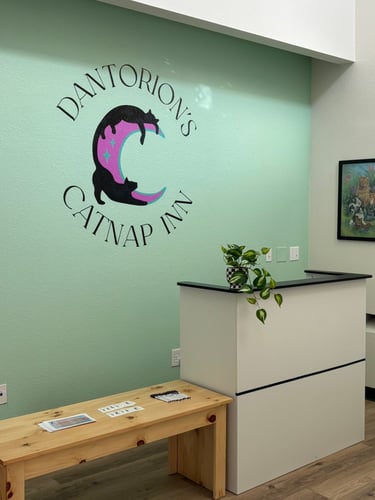Call Dantorion's Catnap Inn in Las Vegas, NV 89145 today at (702) 247-6849