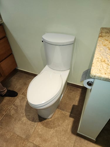 a new, professionally installed toilet in this Southwest Portland home