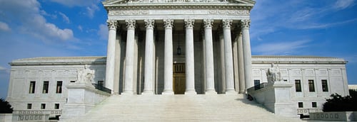 Mary Robinson Carter Headshot Image