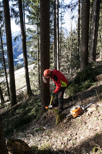 Travaux forestiers - EPF Grandjean Sàrl