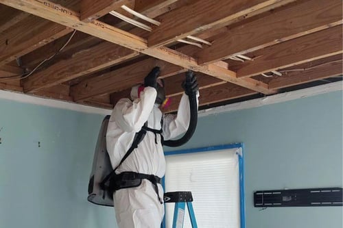 A mold remediation technician from Restoration 1 of Horry County works to remove mold from a ceiling in a home in Myrtle Beach