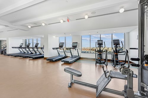 A ftiness center with treadmills lined up in front of large windows.