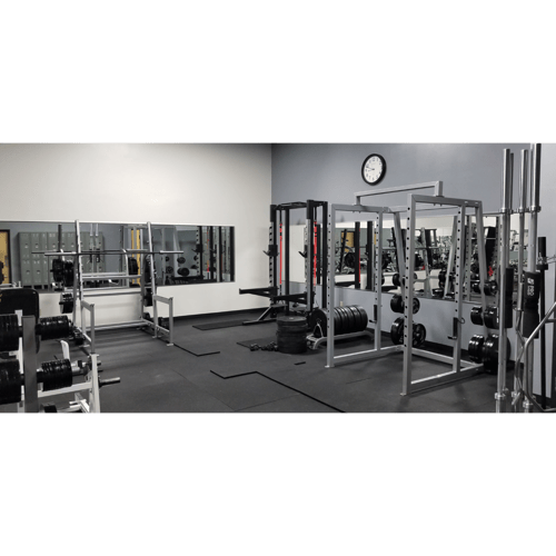 Free weights section at a gym in Albuquerque, with a variety of dumbbells and weight plates available for strength training.
