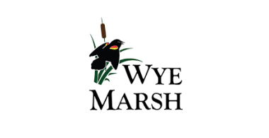 Friends of Wye Marsh logo.
