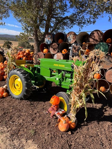 fun events for family